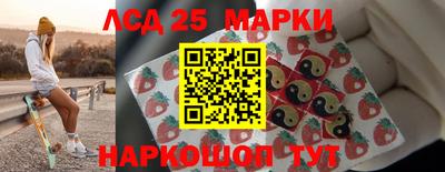 гидропоника Краснознаменск