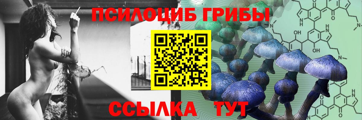 Галлюциногенные грибы Cubensis Коркино