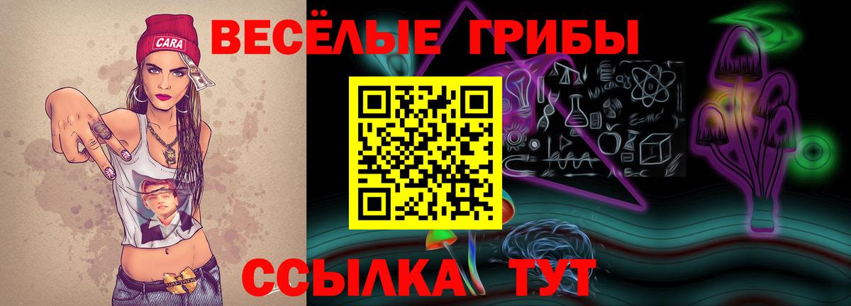 Псилоцибиновые грибы мицелий  Псилоцибиновые грибы MAGIC MUSHROOMS  Коркино  Вход с VPN 
